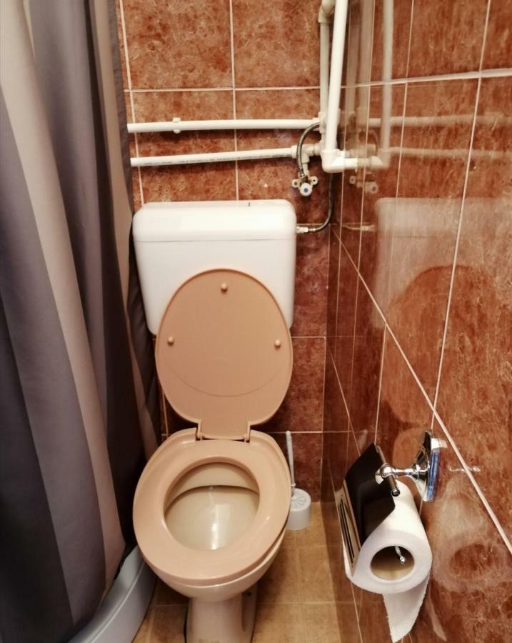 Apartman Studio Katarina Golubac Εξωτερικό φωτογραφία