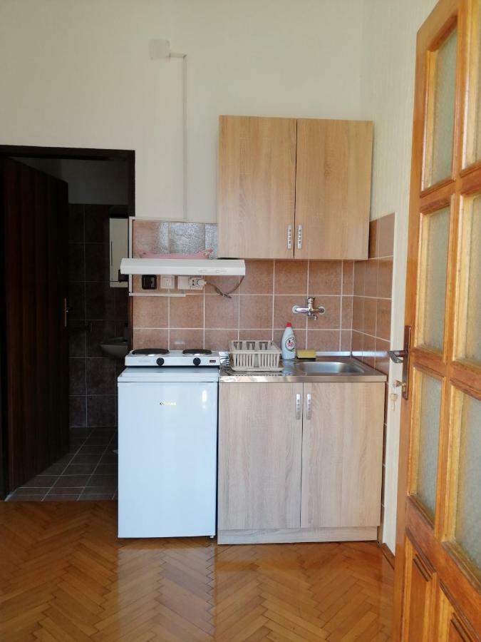 Apartman Studio Katarina Golubac Εξωτερικό φωτογραφία
