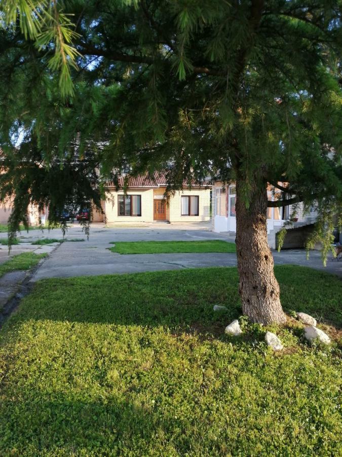 Apartman Studio Katarina Golubac Εξωτερικό φωτογραφία