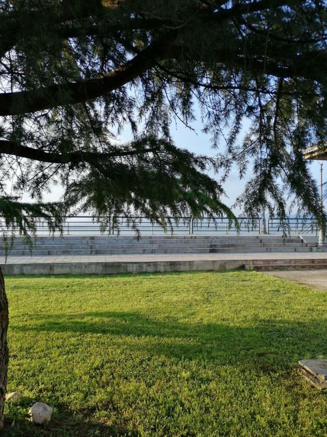Apartman Studio Katarina Golubac Εξωτερικό φωτογραφία
